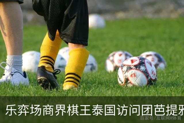 乐弈场商界棋王泰国访问团芭提雅围棋交流赛圆满成功